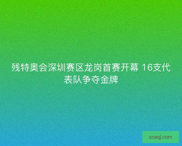 残特奥会深圳赛区龙岗首赛开幕 16支代表队争夺金牌